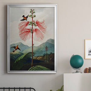 Temple of Flora VIII Premium Framed Print - Ready to Hang