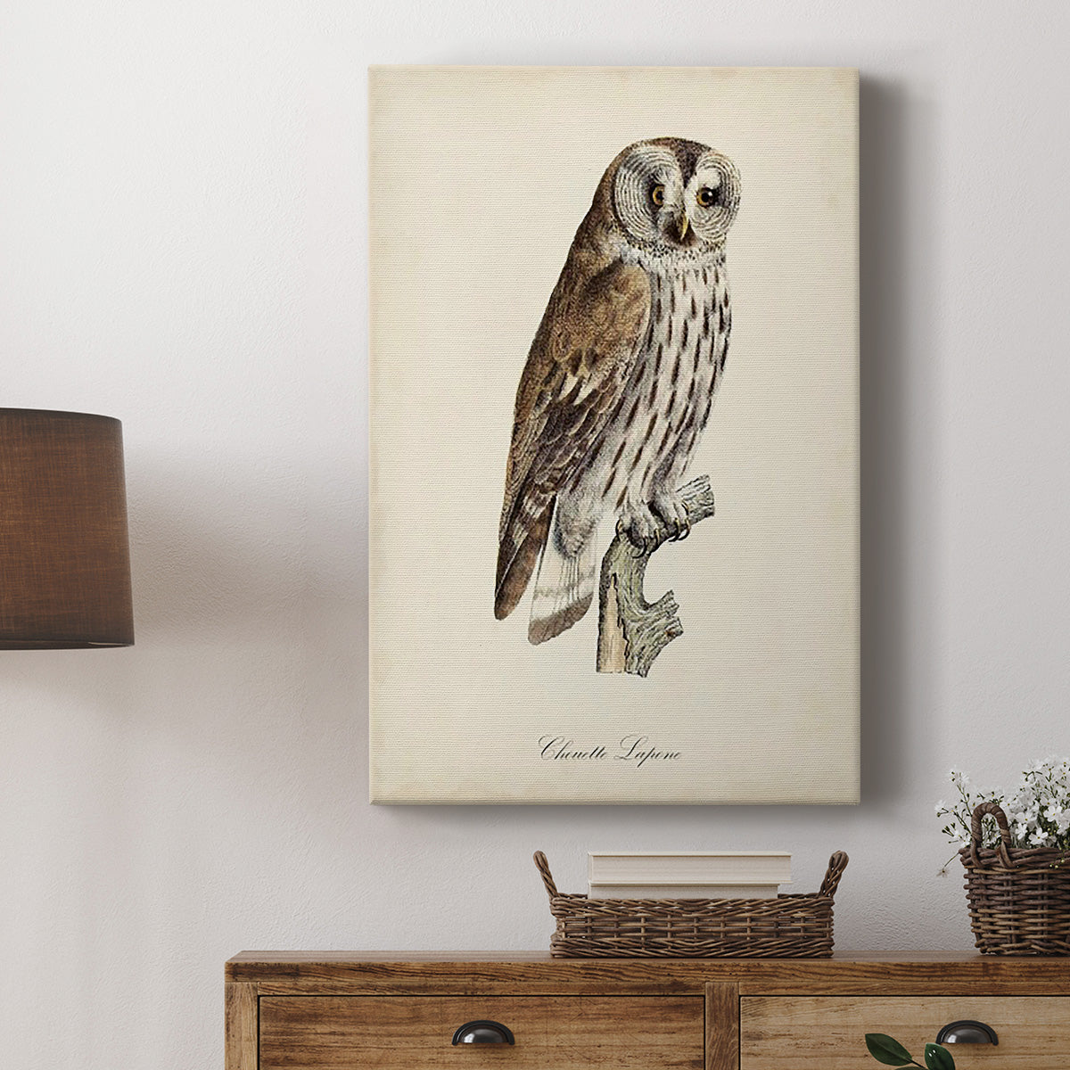 French Owls III Premium Gallery Wrapped Canvas - Ready to Hang