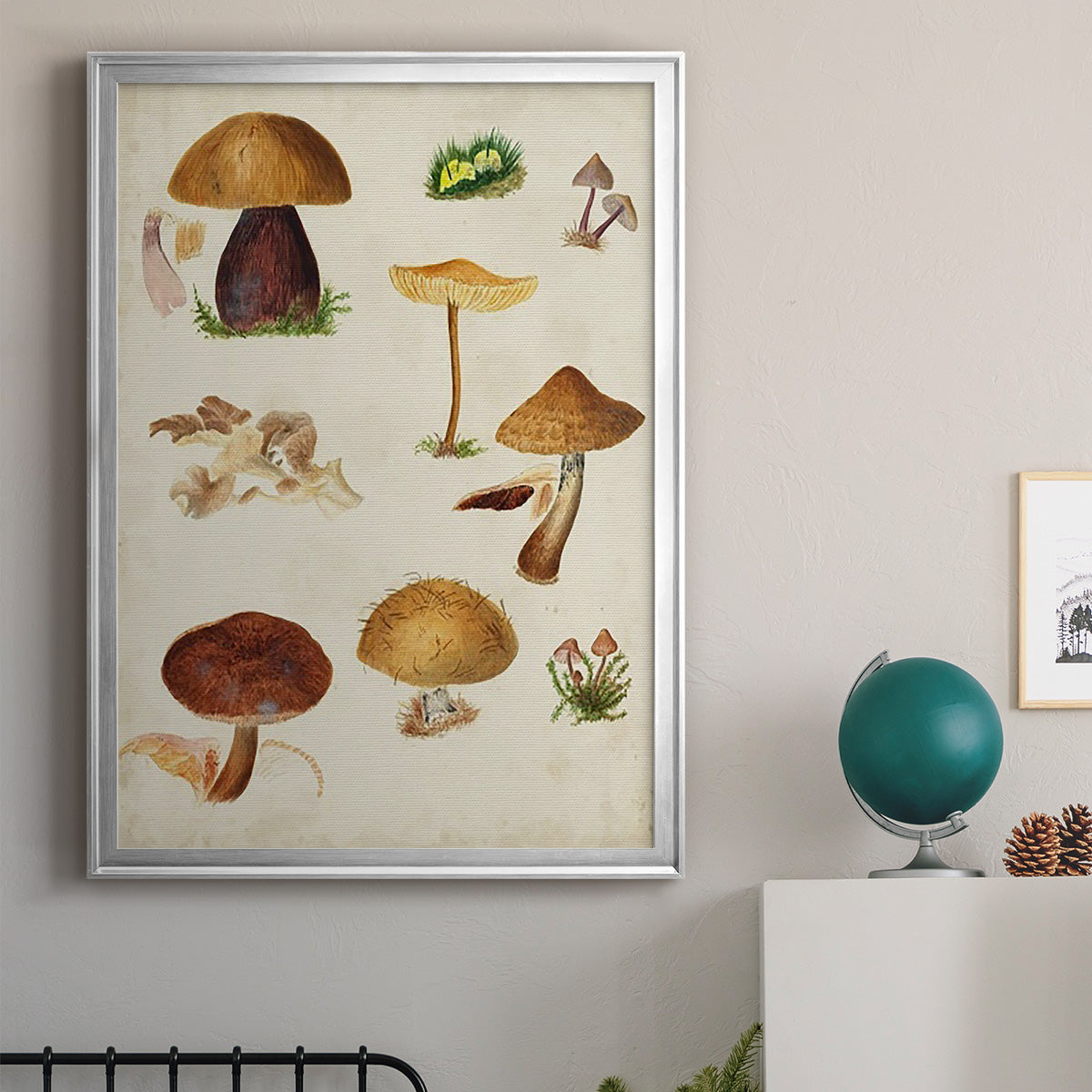 Mushroom Species II Premium Framed Print - Ready to Hang