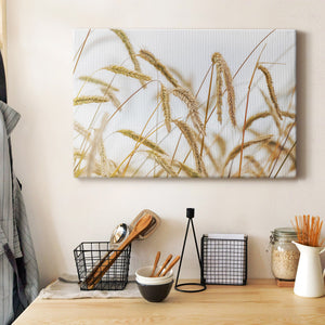 Wheat Premium Gallery Wrapped Canvas - Ready to Hang