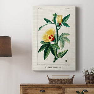 Turpin Tropical Botanicals VI Premium Gallery Wrapped Canvas - Ready to Hang
