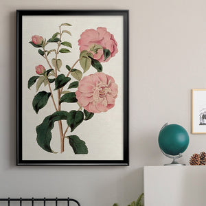 Pink Floral Mix IV Premium Framed Print - Ready to Hang