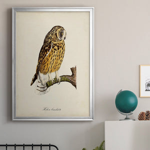 French Owls II Premium Framed Print - Ready to Hang