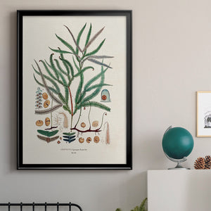 Botanical Society Ferns VII Premium Framed Print - Ready to Hang
