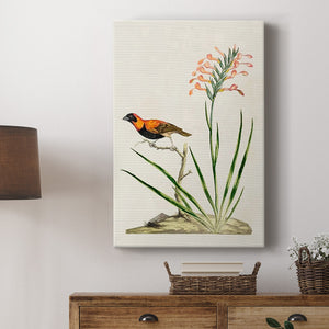 Bird in Habitat III Premium Gallery Wrapped Canvas - Ready to Hang