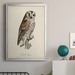 French Owls III Premium Framed Print - Ready to Hang