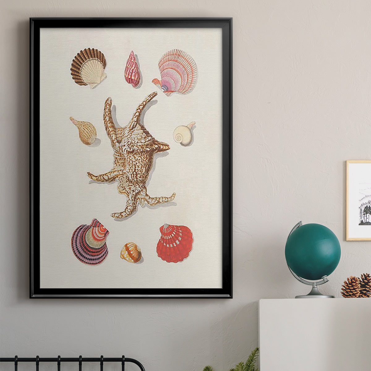 Knorr Shells & Coral II Premium Framed Print - Ready to Hang