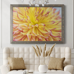 Blooms III-Premium Framed Canvas - Ready to Hang