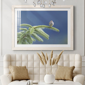 Evergreen Perch-Premium Framed Print - Ready to Hang