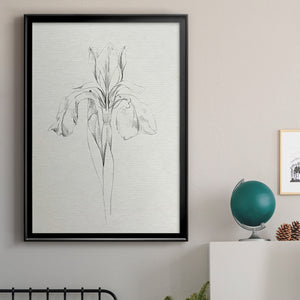 Neutral Iris Sketch I Premium Framed Print - Ready to Hang