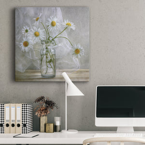 Daisies - Canvas Art Print
