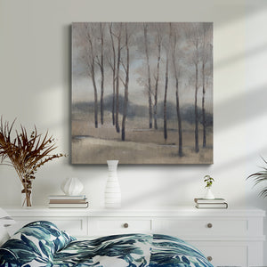 Soft Light II-Premium Gallery Wrapped Canvas - Ready to Hang