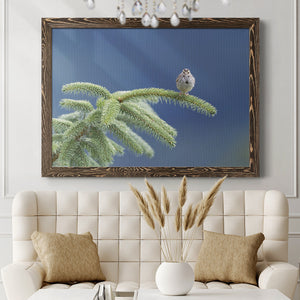 Evergreen Perch-Premium Framed Canvas - Ready to Hang