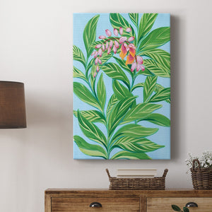 Tropical Shell Ginger I Premium Gallery Wrapped Canvas - Ready to Hang