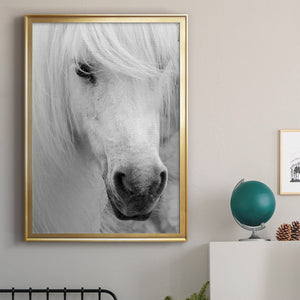 Island Pony I Premium Framed Print - Ready to Hang