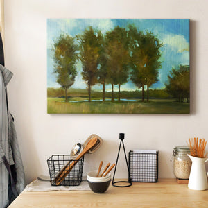 Tall Trees Premium Gallery Wrapped Canvas - Ready to Hang