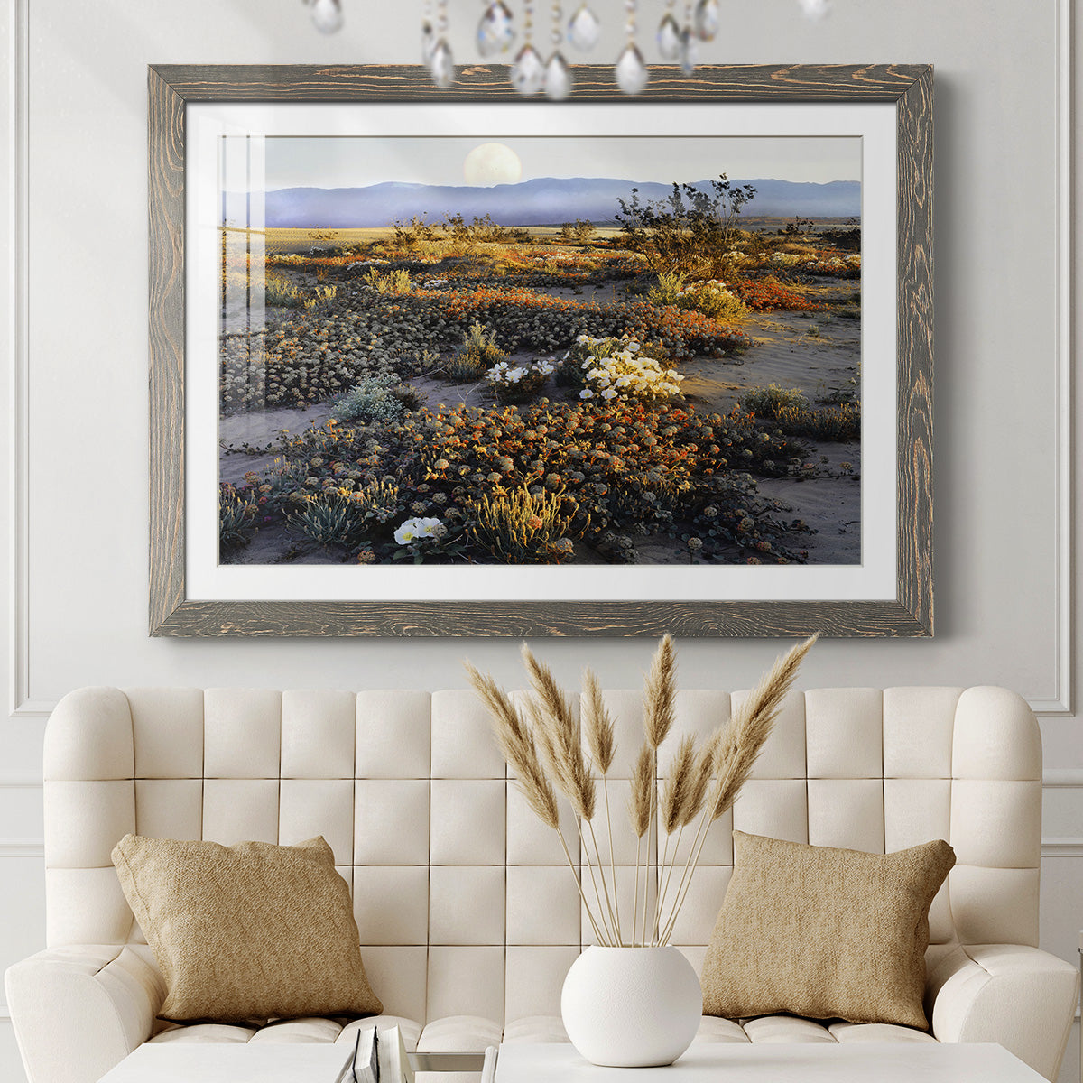Anza Borrego Desert-Premium Framed Print - Ready to Hang