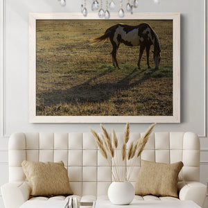 Long Shadow-Premium Framed Canvas - Ready to Hang