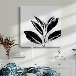 Monochrome Tropic IV-Premium Gallery Wrapped Canvas - Ready to Hang