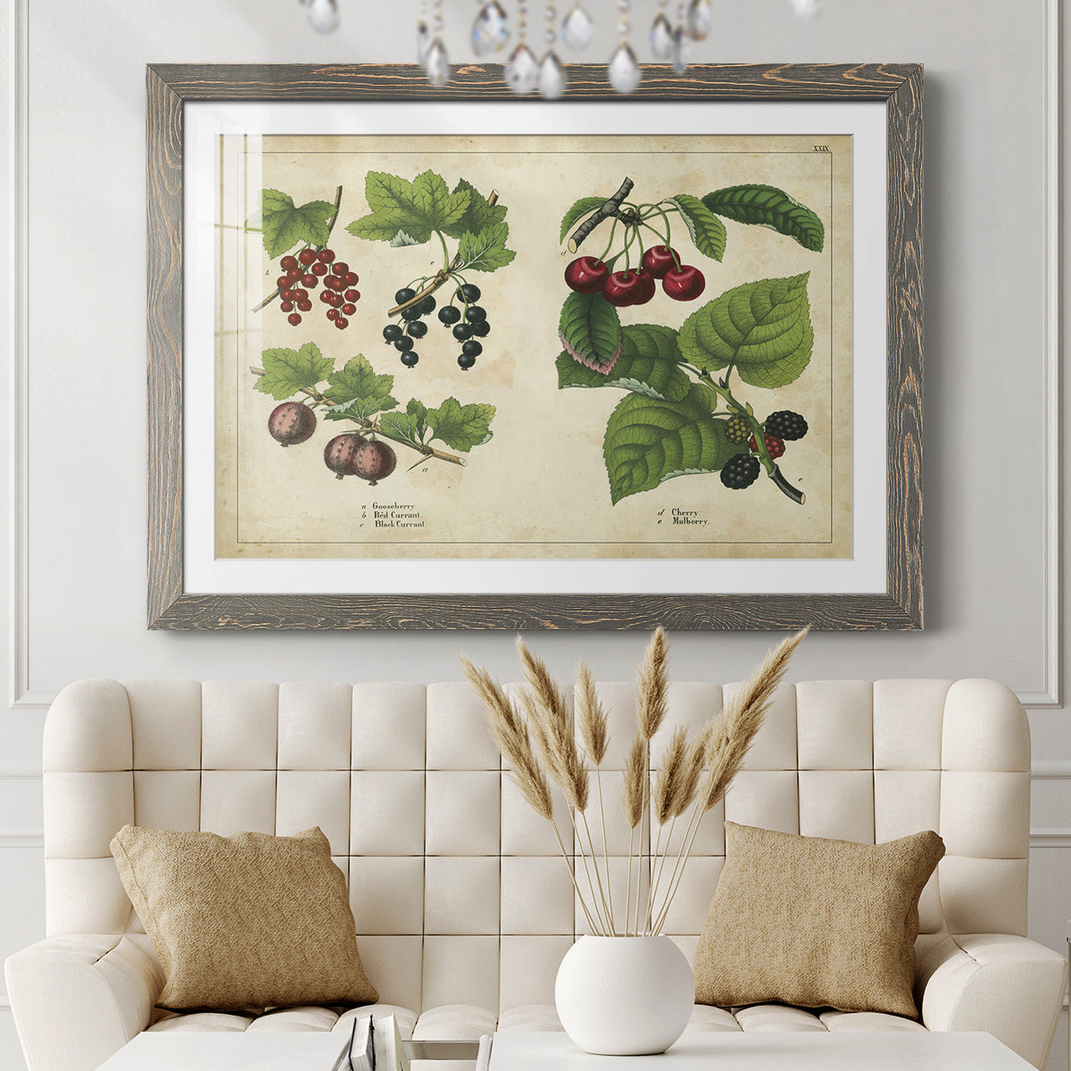 Kitchen Fruits III-Premium Framed Print - Ready to Hang