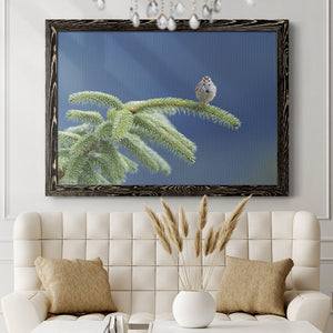 Evergreen Perch-Premium Framed Canvas - Ready to Hang