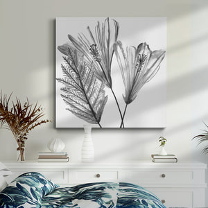 Floral Silhouette II-Premium Gallery Wrapped Canvas - Ready to Hang