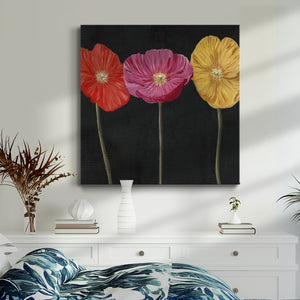 Poppy Trio II-Premium Gallery Wrapped Canvas - Ready to Hang