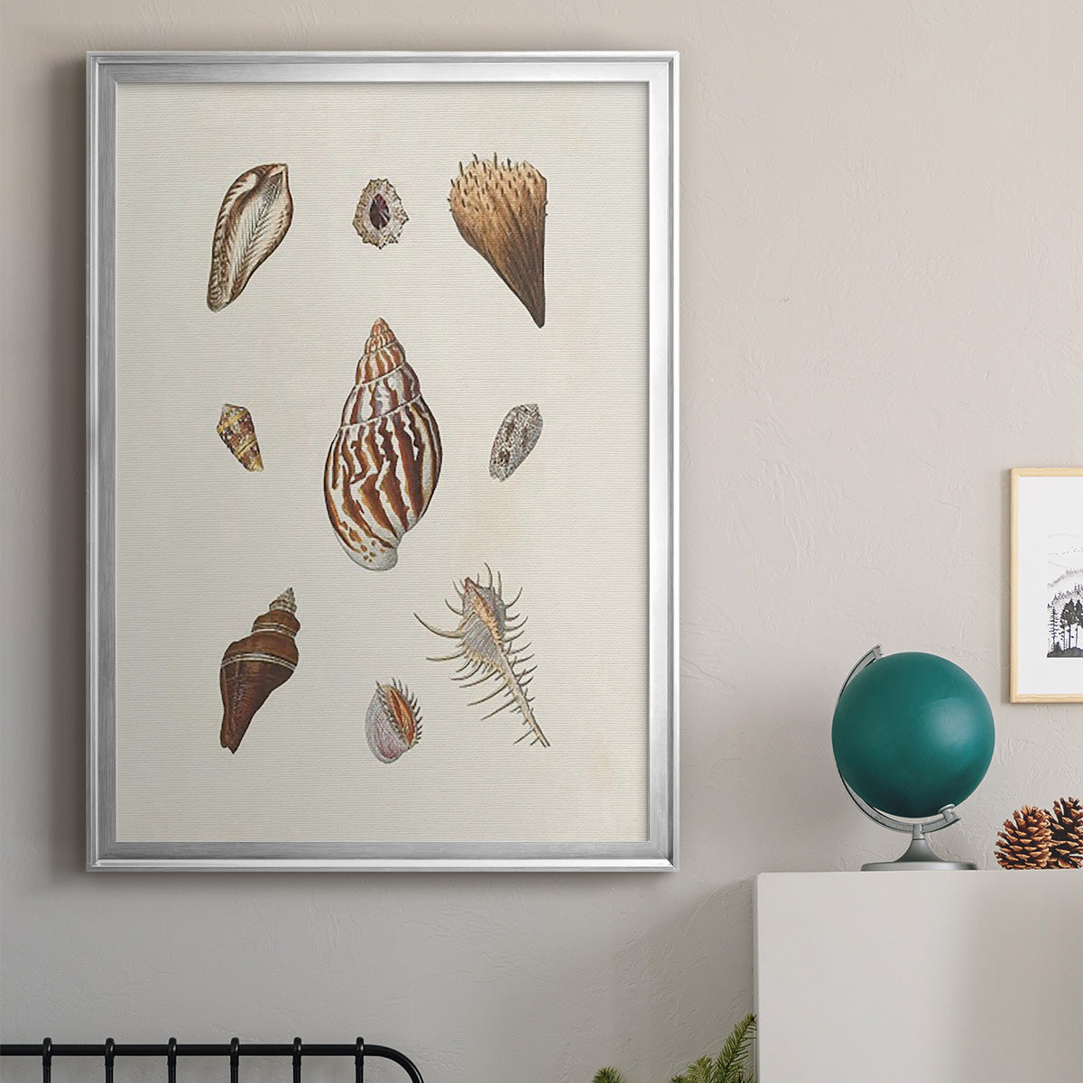 Knorr Shells & Coral IX Premium Framed Print - Ready to Hang