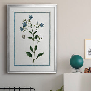 Shabby Chic Botanical II Premium Framed Print - Ready to Hang