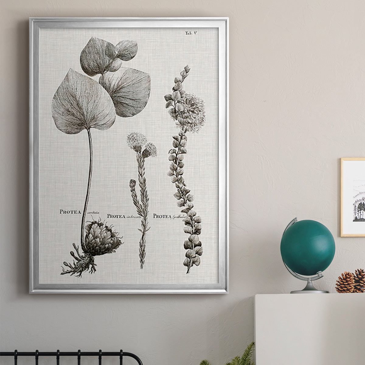 Black & White Protea on Linen II Premium Framed Print - Ready to Hang
