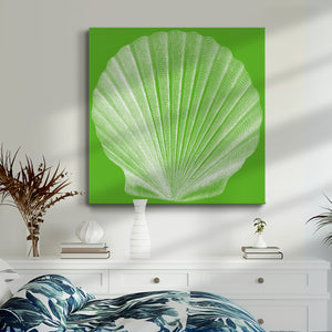 Saturated Shell II-Premium Gallery Wrapped Canvas - Ready to Hang
