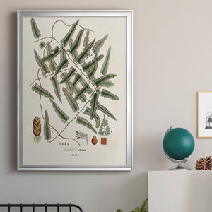 Botanical Society Ferns X Premium Framed Print - Ready to Hang
