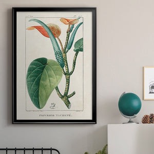 Turpin Tropical Botanicals II Premium Framed Print - Ready to Hang