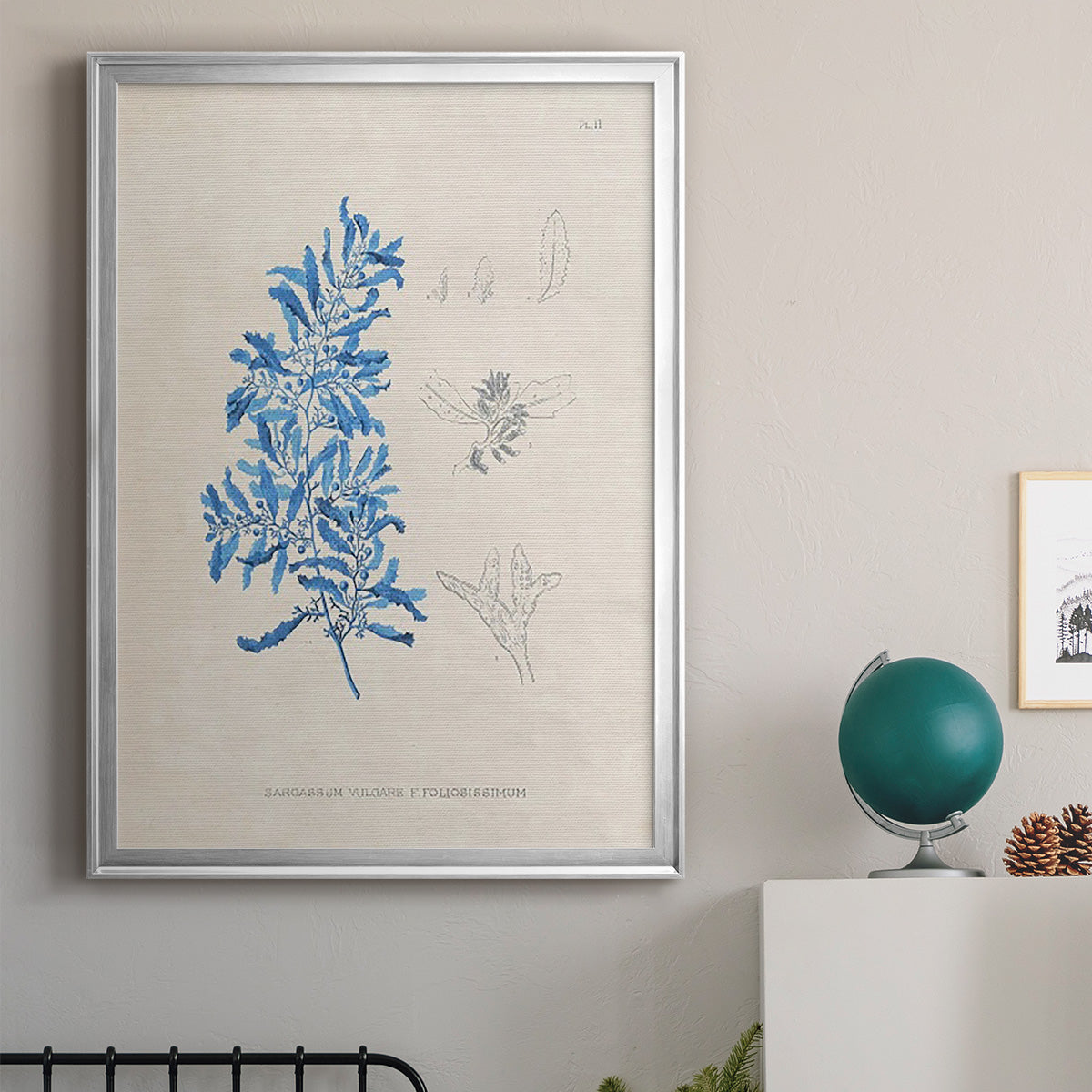 Blue Marine Algae VI Premium Framed Print - Ready to Hang