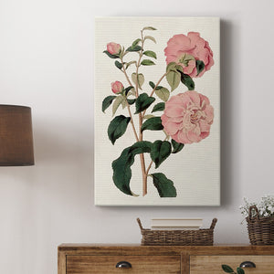 Pink Floral Mix IV Premium Gallery Wrapped Canvas - Ready to Hang