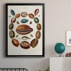 Spiral Shell Formation II Premium Framed Print - Ready to Hang