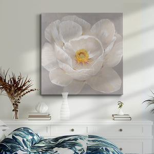 White Peony II-Premium Gallery Wrapped Canvas - Ready to Hang