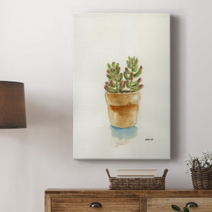 Succulent III Premium Gallery Wrapped Canvas - Ready to Hang