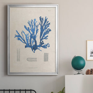 Blue Marine Algae IX Premium Framed Print - Ready to Hang