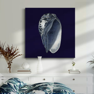 Indigo Shells V-Premium Gallery Wrapped Canvas - Ready to Hang