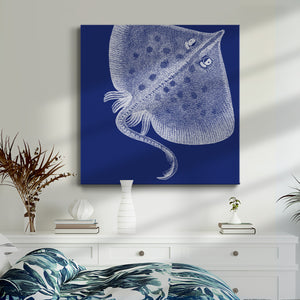 Saturated Sea Life III-Premium Gallery Wrapped Canvas - Ready to Hang