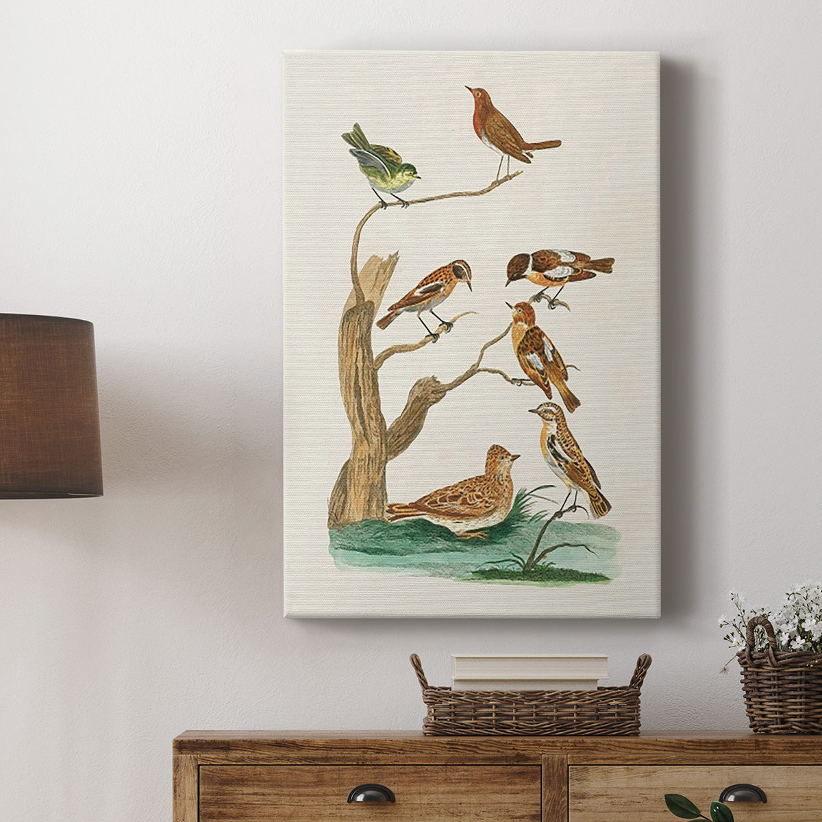 Antique Birds in Nature III Premium Gallery Wrapped Canvas - Ready to Hang