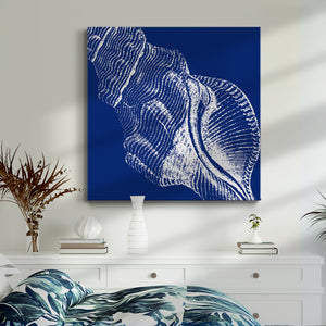 Saturated Shell III-Premium Gallery Wrapped Canvas - Ready to Hang