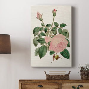 Pink Floral Mix II Premium Gallery Wrapped Canvas - Ready to Hang