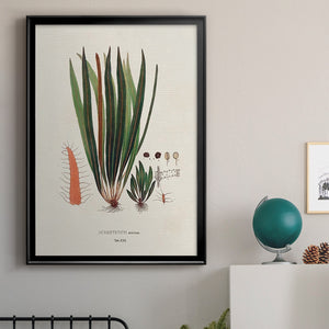 Botanical Society Ferns V Premium Framed Print - Ready to Hang