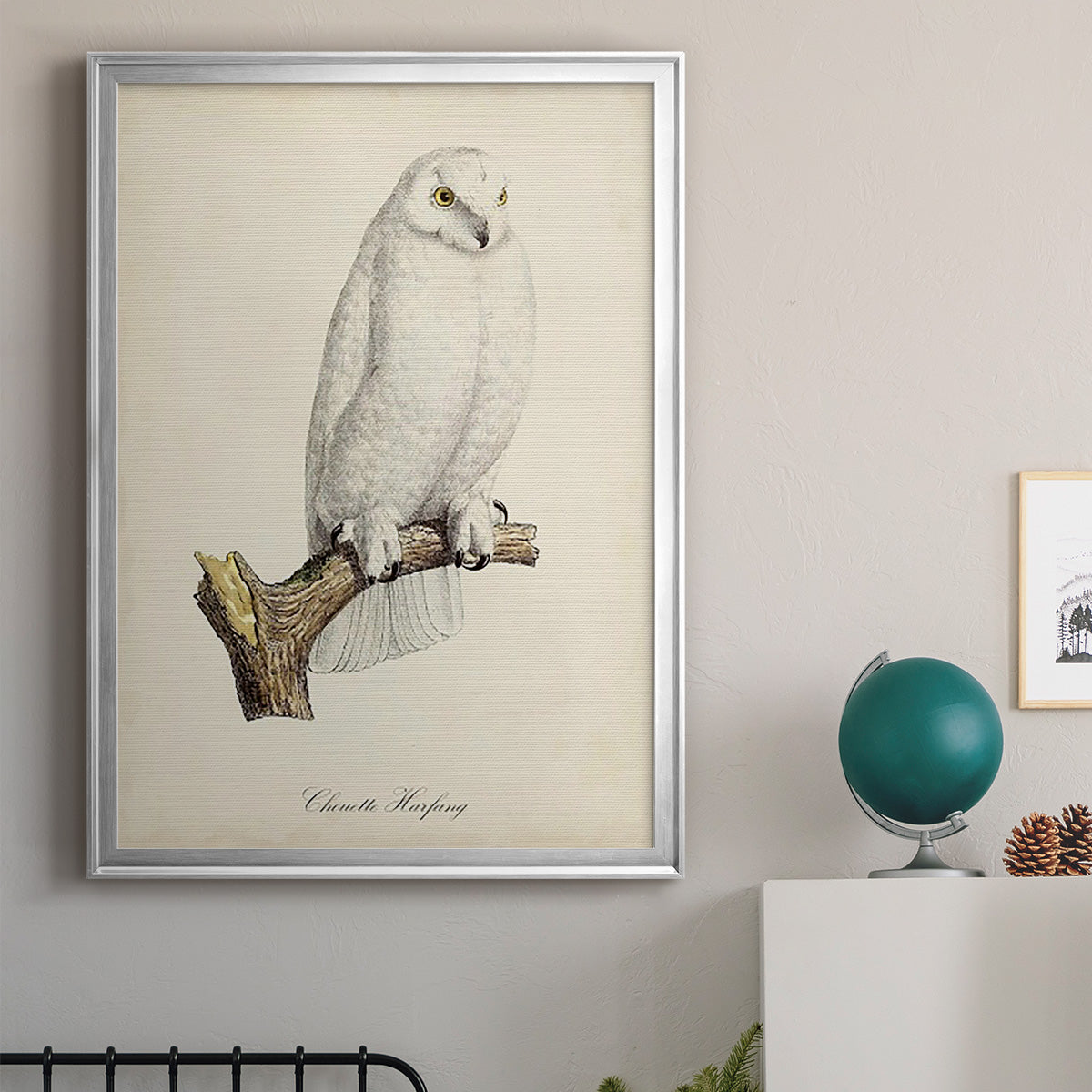 French Owls IV Premium Framed Print - Ready to Hang