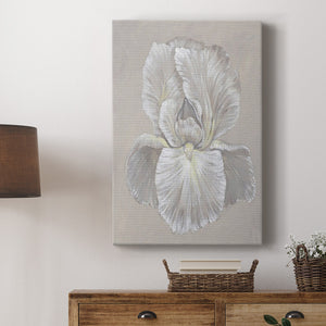White Iris I Premium Gallery Wrapped Canvas - Ready to Hang