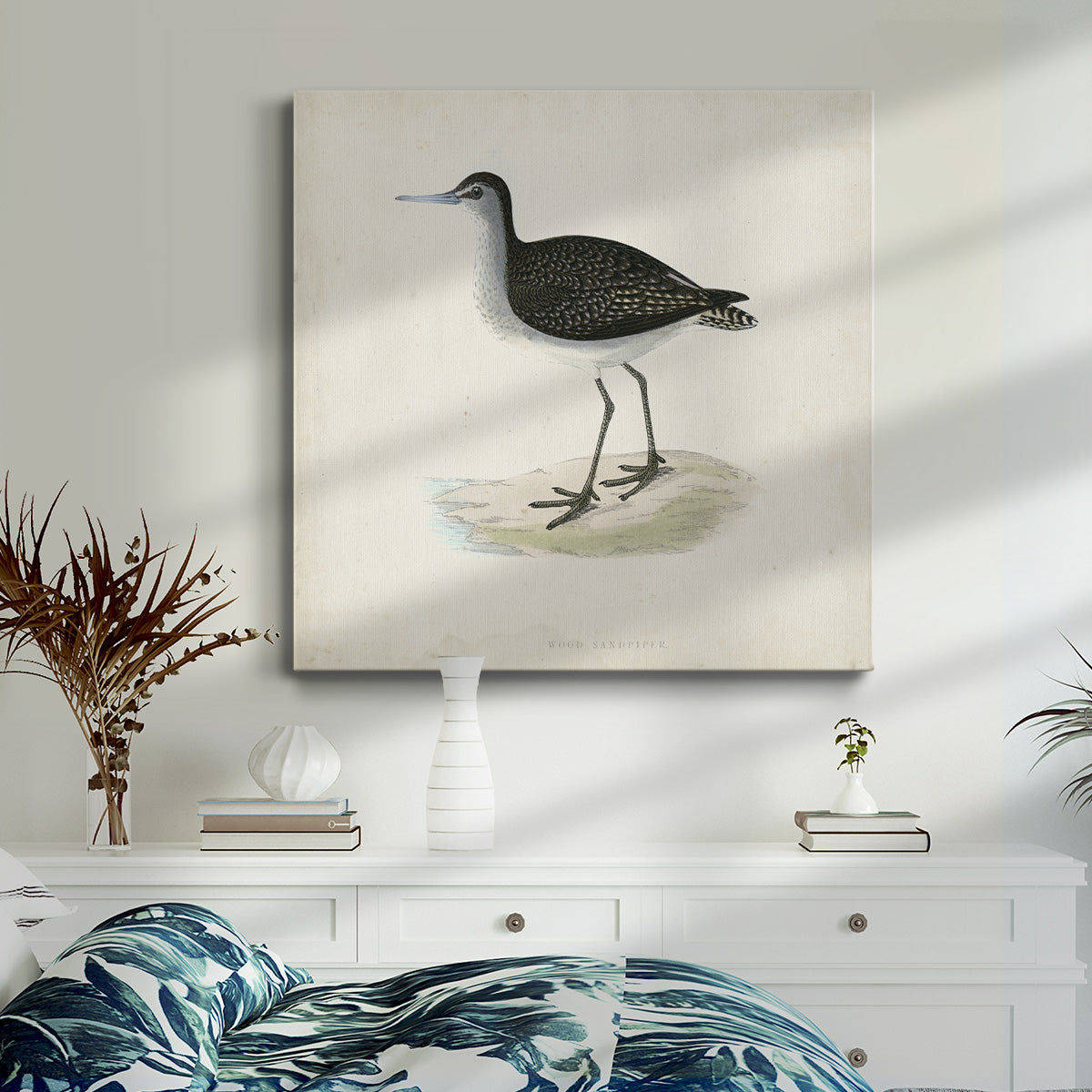 Morris Sandpipers VIII-Premium Gallery Wrapped Canvas - Ready to Hang