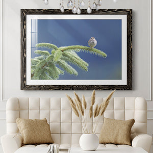 Evergreen Perch-Premium Framed Print - Ready to Hang