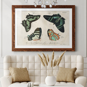 Crackled Butterflies III-Premium Framed Print - Ready to Hang